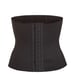 SKIMS WAIST TRAINER NEW