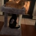 Road Cat Scratching Post Bed, Featuring with Soft Perch Sisal-Covered