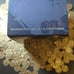 coins collection