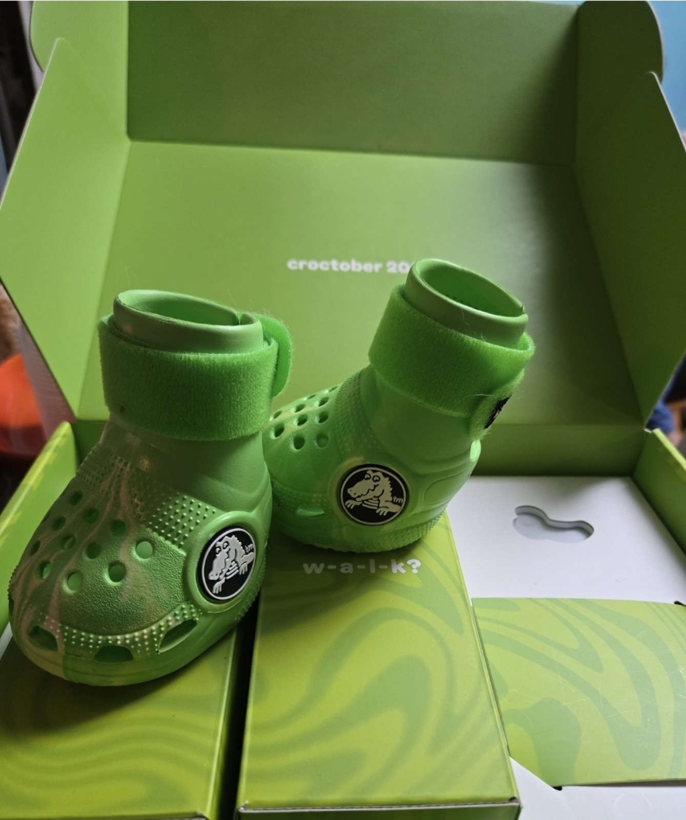 Crocs for dog size L