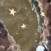 Anthropologie Francesca Kaye Halloween Magic Candy Bowl Silver Stars
