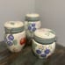 Gibson Home Fruit Grove Kitchen Canisters x3 Hand Painted Containers Latched