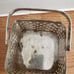 Beautiful Vintage 5 Inch Metal Basket For Storage, Display, Jewelry, Etc.