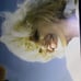Marilyn Monroe poster book
