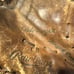Vintage Rawlings Pro Design Clete Boyer Baseball Glove 5 Finger Deep Well RARE!!
