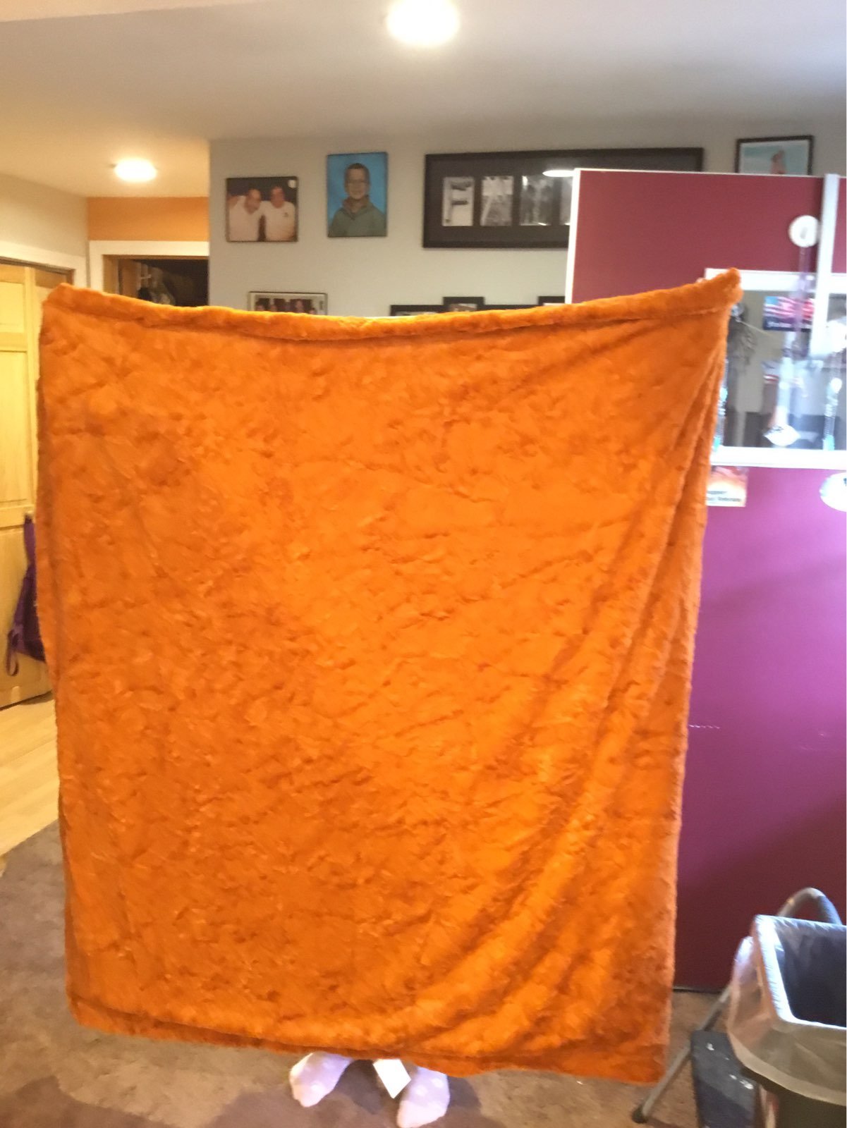 Homemade blanket made from cuddle, Lux, Minky.