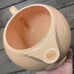 Fiesta Fiestaware Apricot Rose Pink Teapot Peach Salmon Light Pink