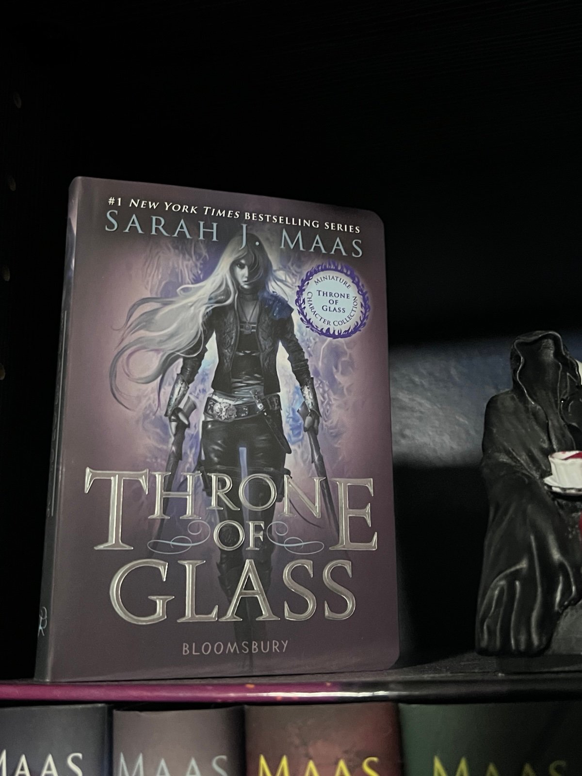 Throne of Glass mini book