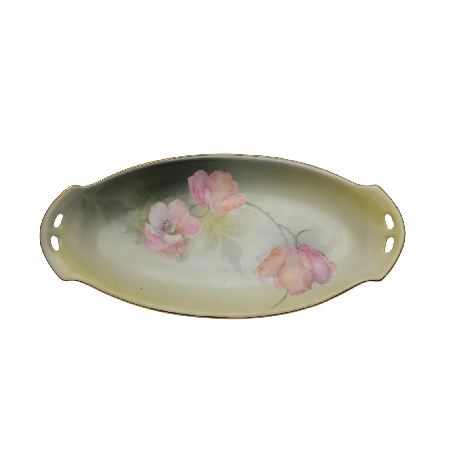 R.S. Tillowitz Silesia Hand Painted Dish