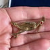 Ciner brooch bird heron vintage 1950s turquoise rhinestones red signet rare