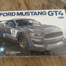 Ford mustang gt4 model