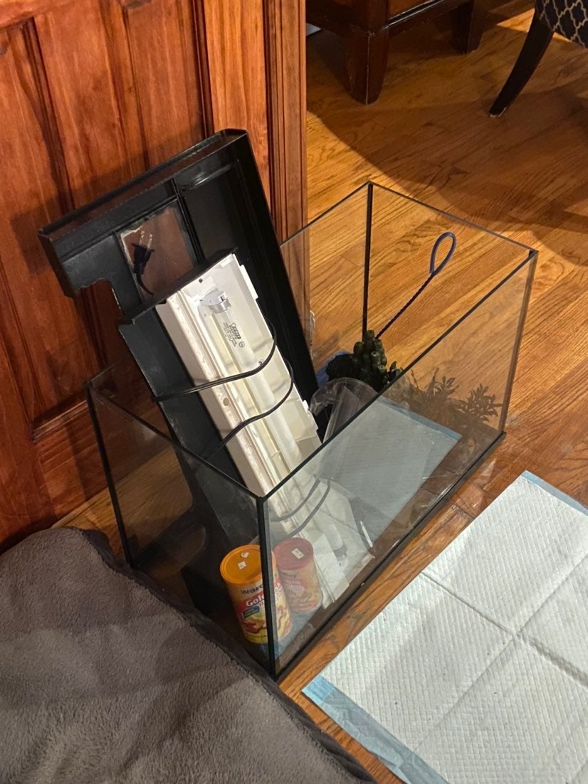 Nice Fish tank