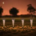 6Pcs Solar Lights Outdoor Decorative Pathway Garden Stakes Lights Waterproof