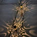 6Pcs Solar Lights Outdoor Decorative Pathway Garden Stakes Lights Waterproof