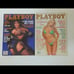 1991 playboy magazines