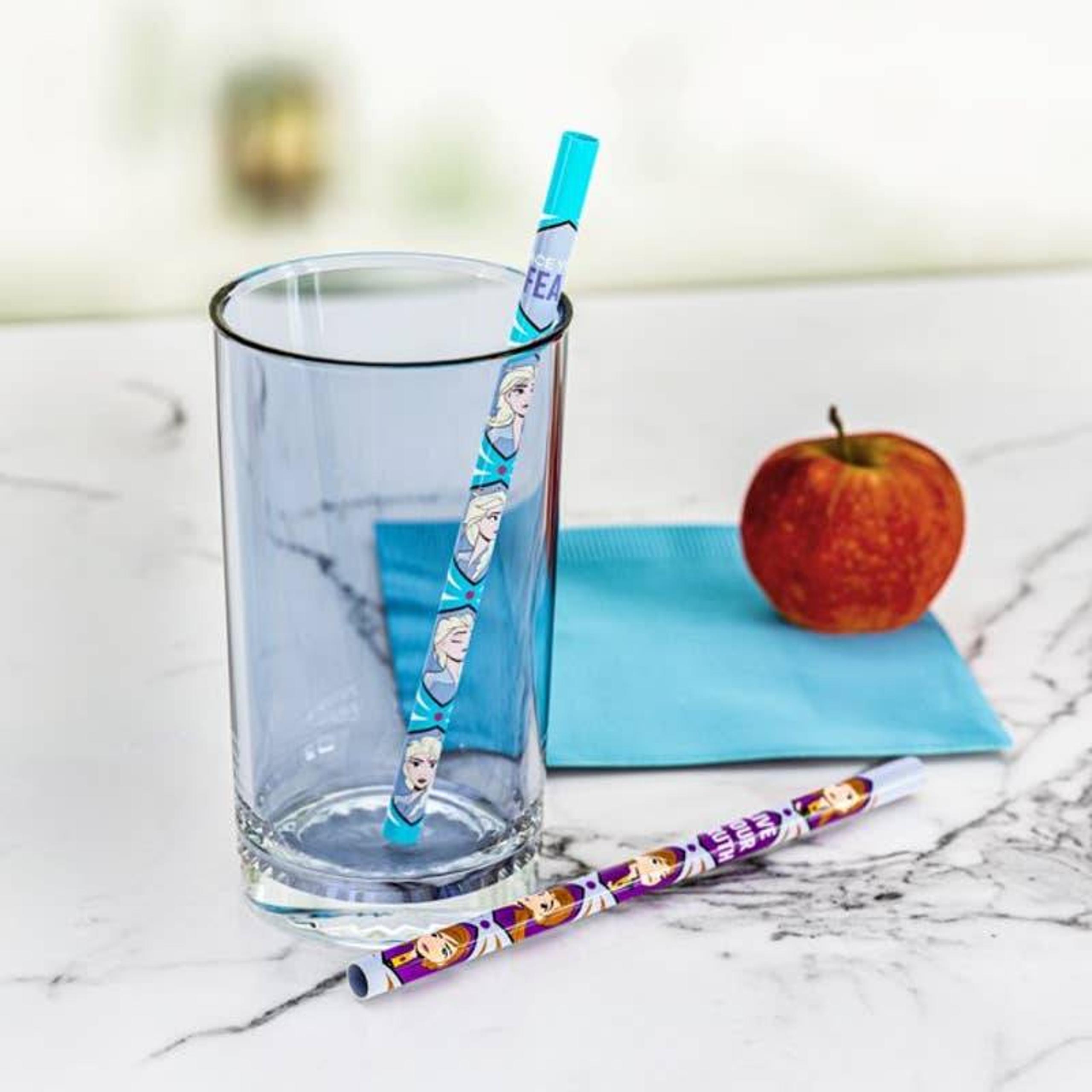 Frozen II Reusable Straws with Pouch 5 count Elsa Anna Olaf BPA-Free