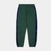 NWT Jordan Pants