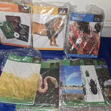 MGT Lesson Plan Books