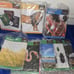 MGT Lesson Plan Books