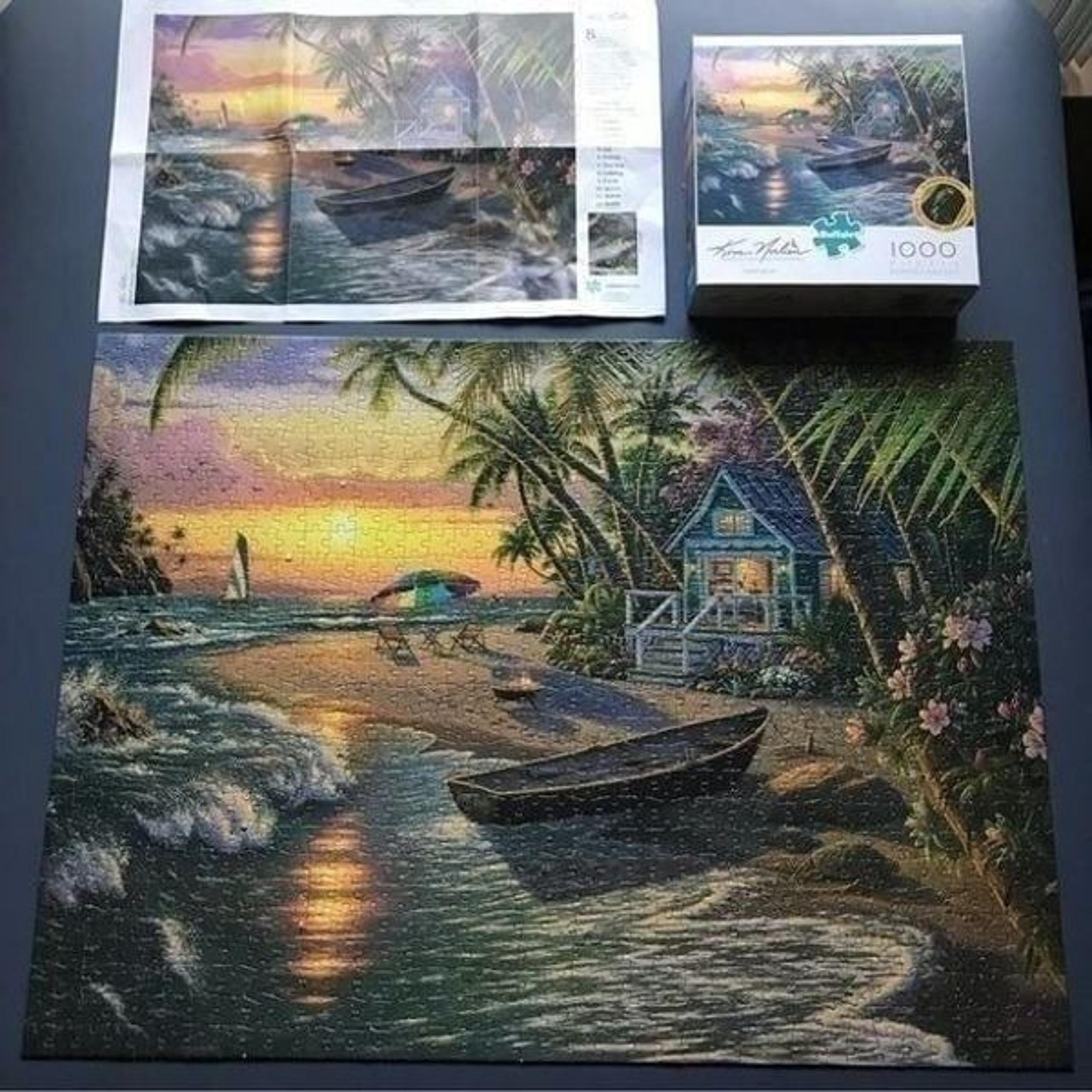 Buffalo Sunset Beach 1000 piece jigsaw puzzle – complete