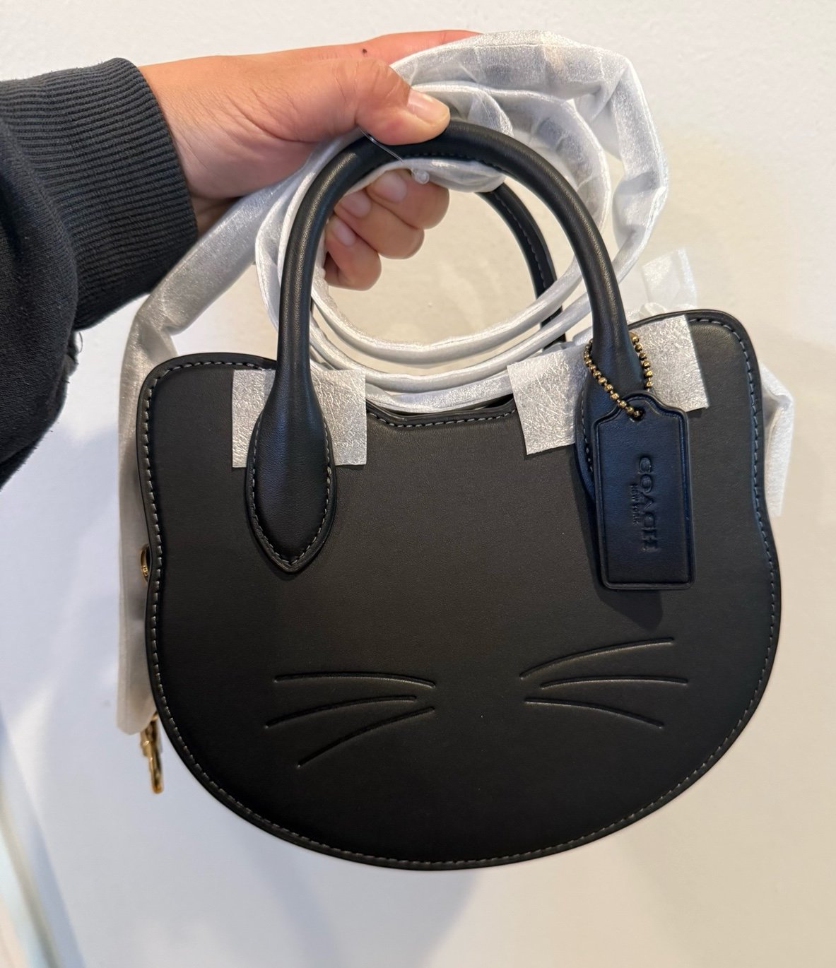 Coach Halloween Cat Crossbody Black CW615 NWT