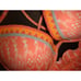 VICTORIA's SECRET 34B BIKINI XS,S ruffle ORANGE PEACH WHITE applique FABULOUS