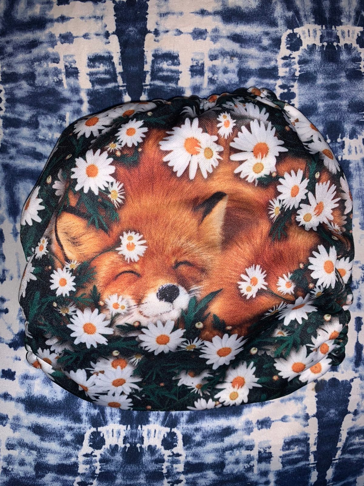 Mama Koala fox daisies