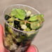 RARE Hoya Curtisii Variegated