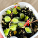 RARE Hoya Curtisii Variegated