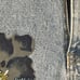 Posse Jeans Vtg 90s Streetwear Womens Distressed Hand Painted Denim Jean Shorts
