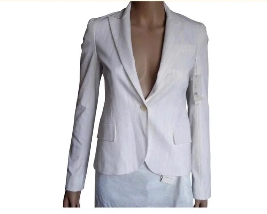 Theory women's pinstripe blazer