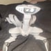 WOWWEE ROBOQUAD FULL SIZE Remote Control Toy WHITE ROBOTIC SPIDER PET.
