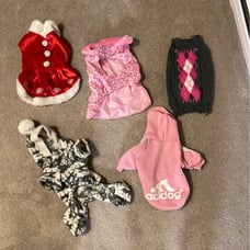 Small dog sweaters