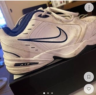 Nike monarchs