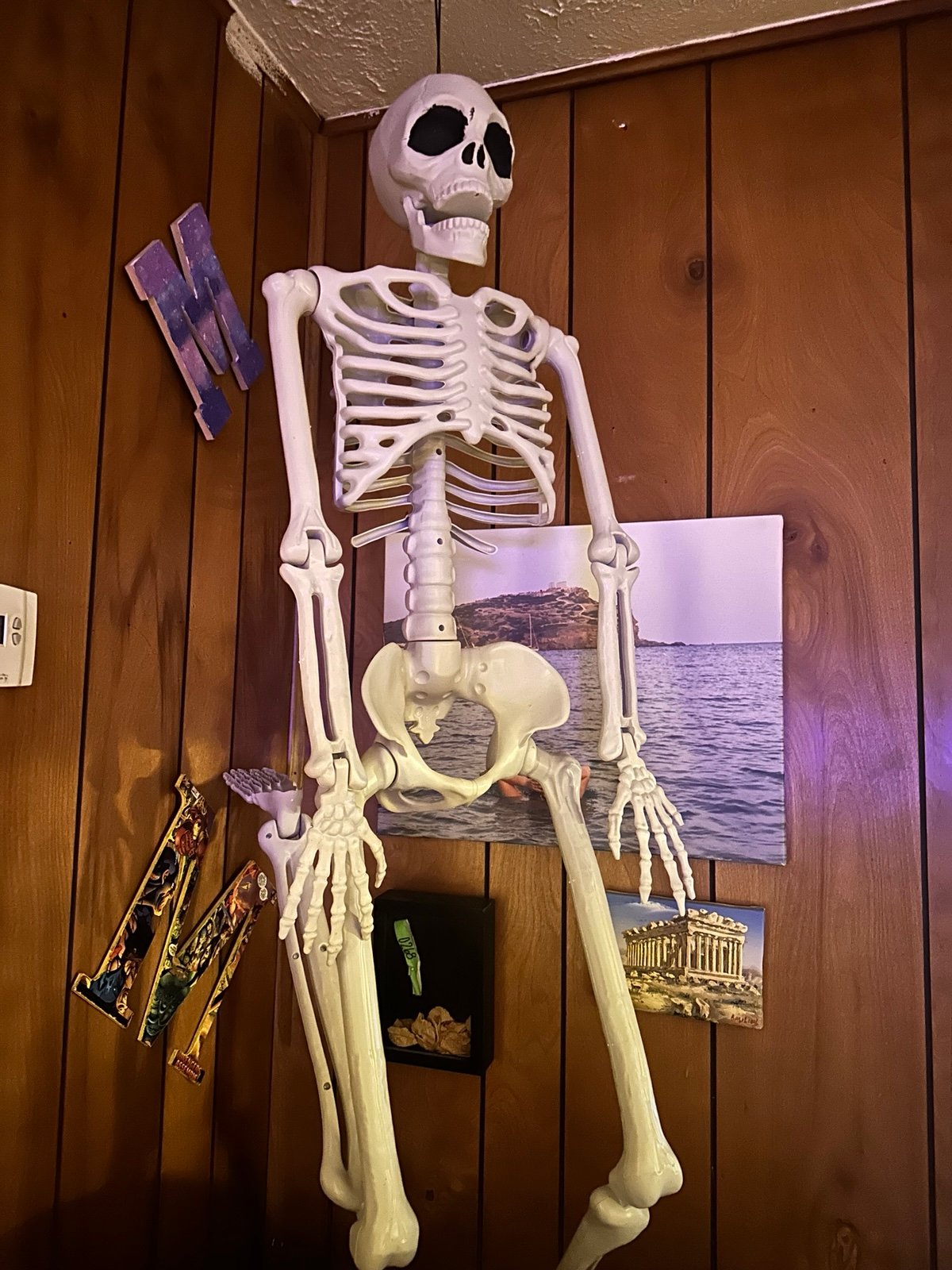 6 foot posable skeleton decoration