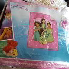 Disney Princess Borrego Blanket