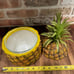 Vintage Evers Pineapple Ice Bucket with Glass Insert MCM Tiki Bar