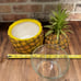 Vintage Evers Pineapple Ice Bucket with Glass Insert MCM Tiki Bar