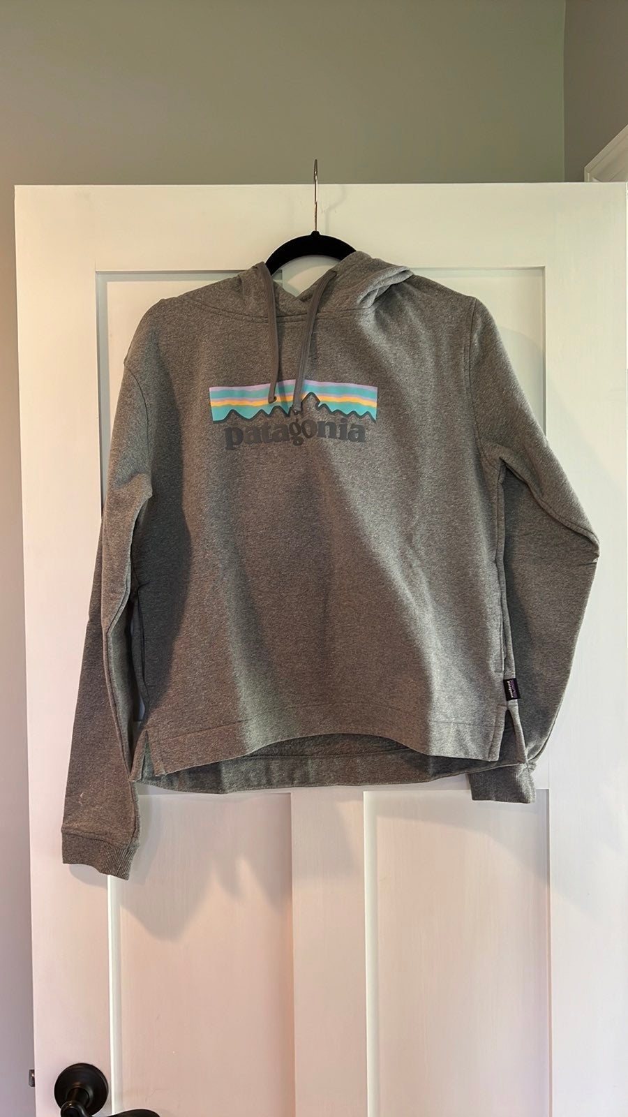 Patagonia Hoodie