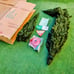 VTG 1970's Original Mr. Christmas Retro Insta-shape 6.5ft Holiday Decor Tree NOS