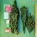 VTG 1970's Original Mr. Christmas Retro Insta-shape 6.5ft Holiday Decor Tree NOS