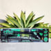 New Halo Rise Above Scooter Supreme Inline Scooter light up wheels Black Green