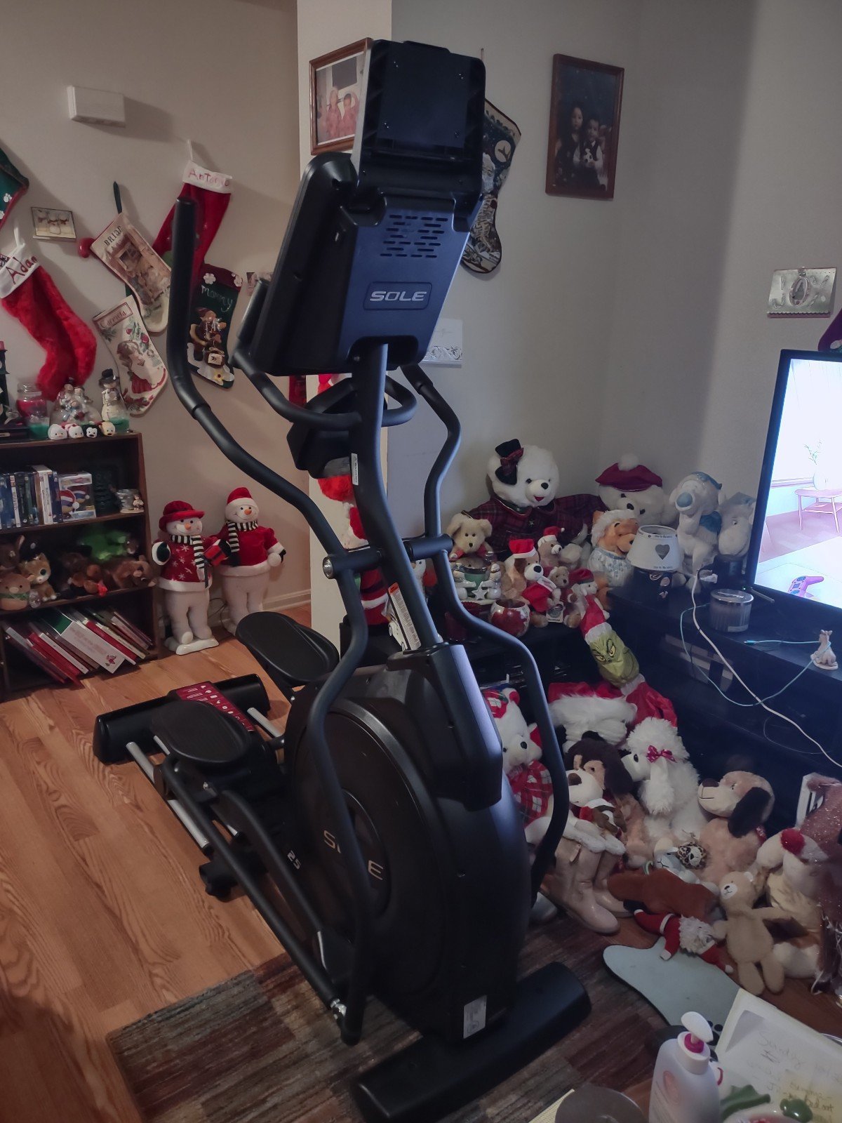 SOLE E25 exercise equipment LOCAL ONLY