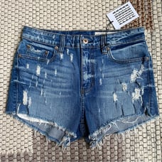 NWT Pistola Winston High Rise Cut Off Distressed Denim Shorts Size 27 NEW