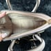 Michael Kors Convertable Handbag