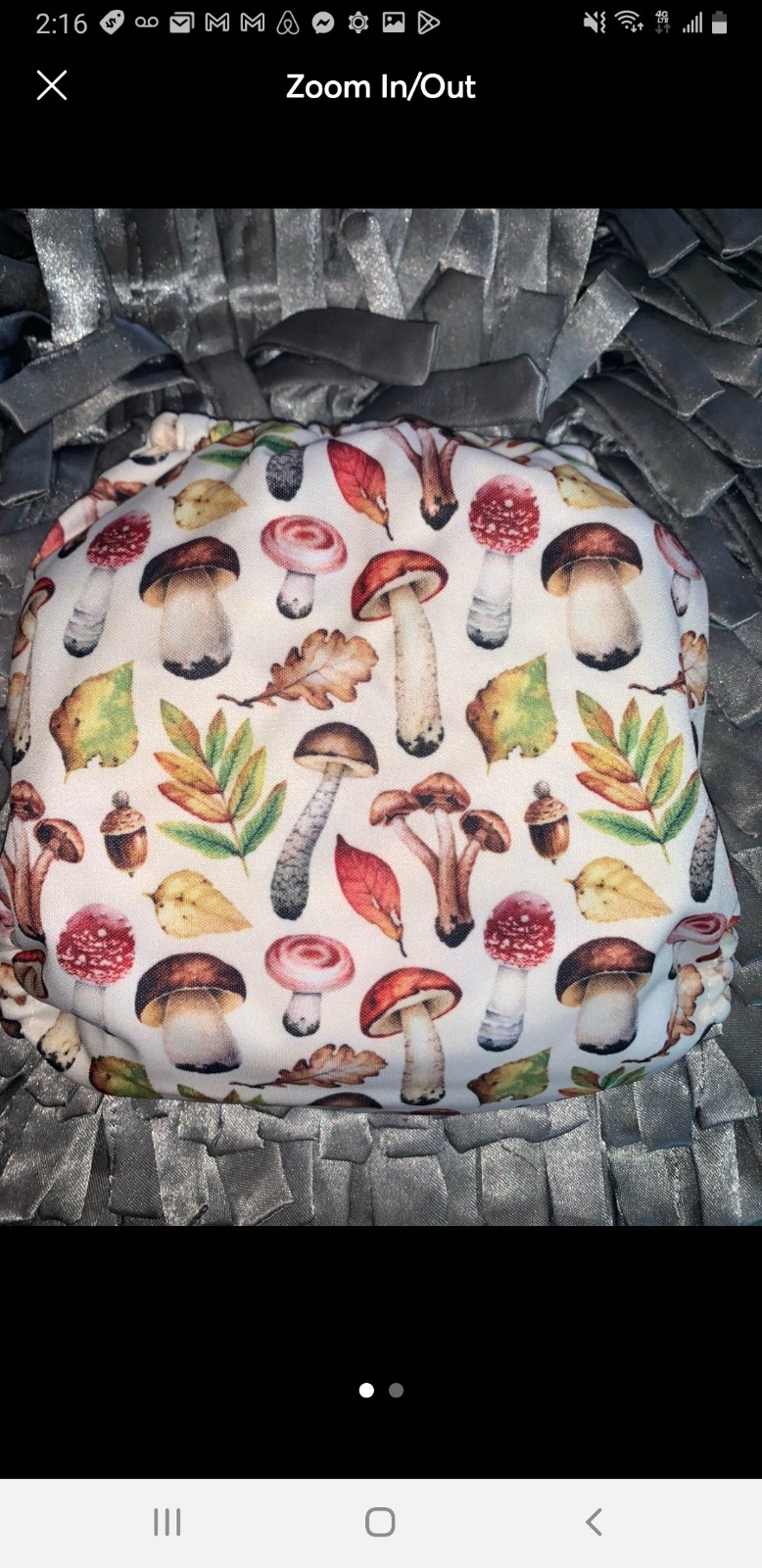 Mama koala mushrooms