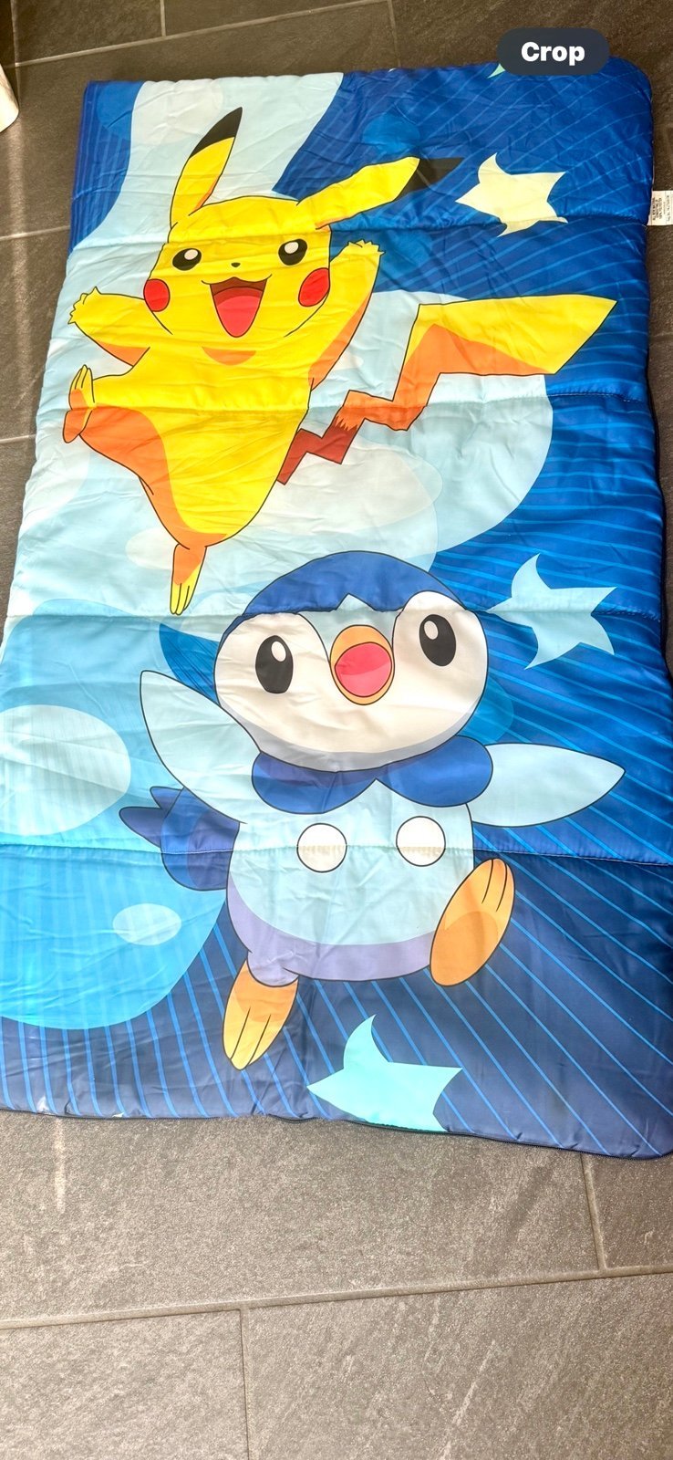 Nintendo Pokémon Diamond Pearl Kids Sleeping Bag Slumberbag soft 55x49