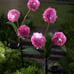 Solar Garden Flowers with Integrated LED Lights, Set of 2- Pink