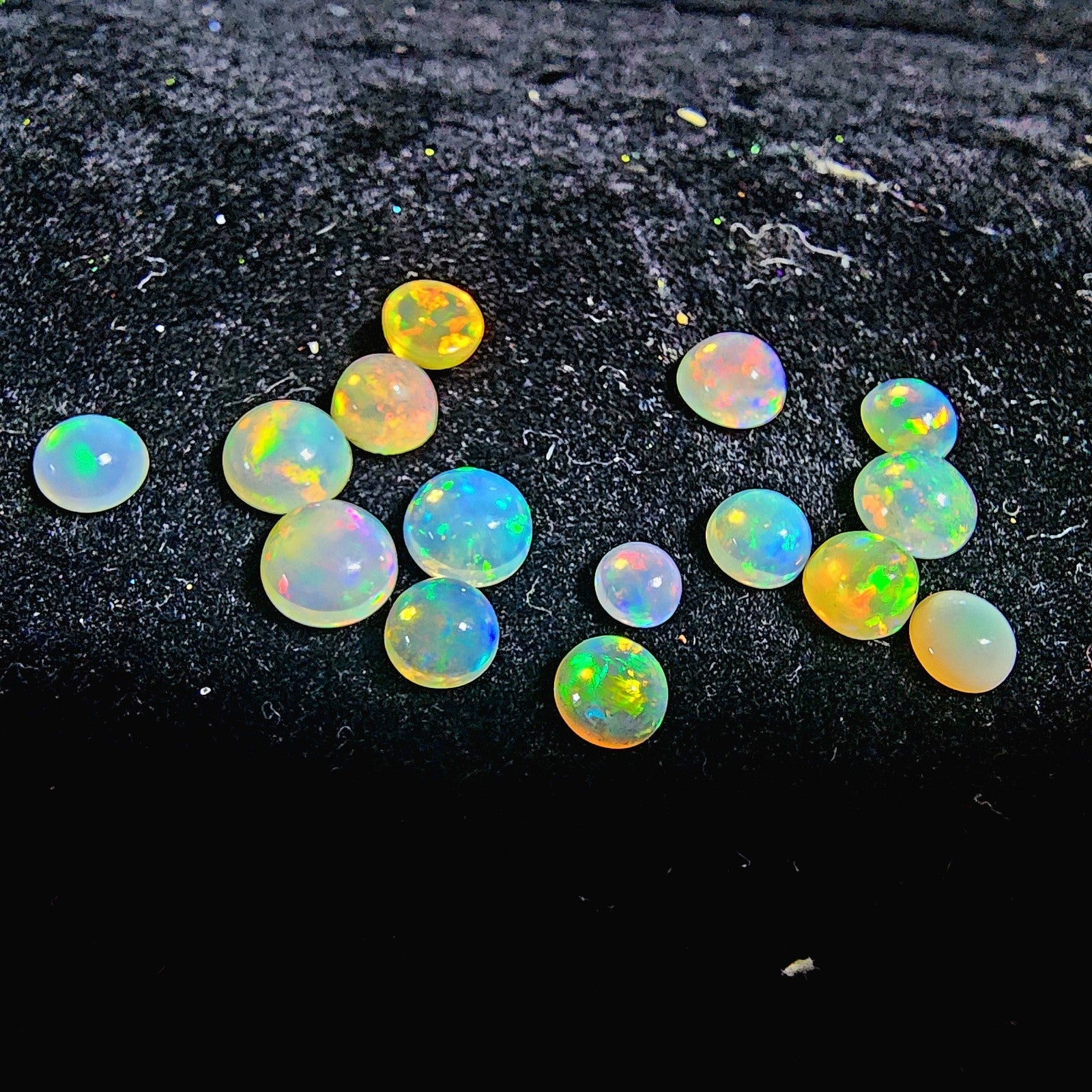 A Grade 6.24 cts welo opals 15pce