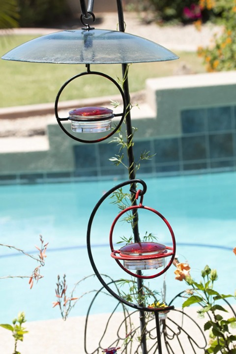 Hummingbird Feeder with Red Bass - Easy Clean Nectar Bowl -